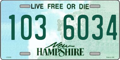 NH license plate 1036034
