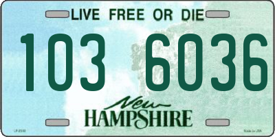 NH license plate 1036036