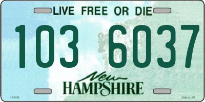 NH license plate 1036037