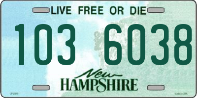 NH license plate 1036038