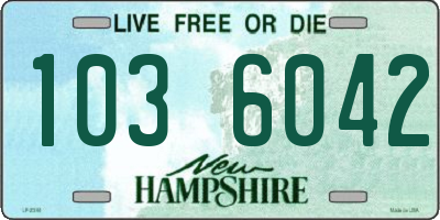 NH license plate 1036042