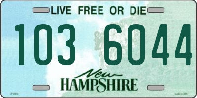 NH license plate 1036044