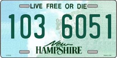 NH license plate 1036051