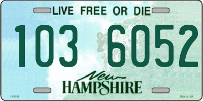 NH license plate 1036052