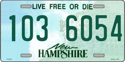 NH license plate 1036054