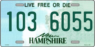 NH license plate 1036055