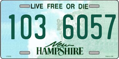 NH license plate 1036057
