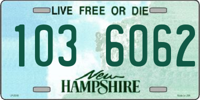 NH license plate 1036062