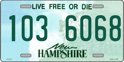 NH license plate 1036068