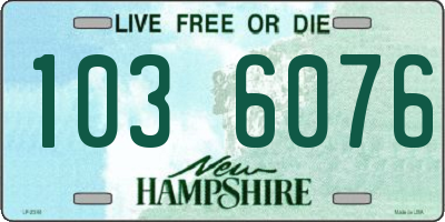 NH license plate 1036076