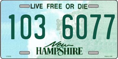 NH license plate 1036077