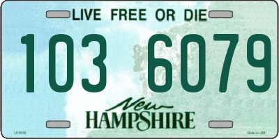 NH license plate 1036079