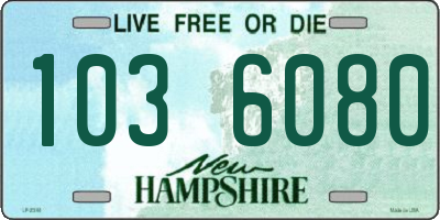 NH license plate 1036080