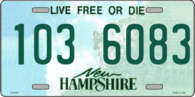 NH license plate 1036083