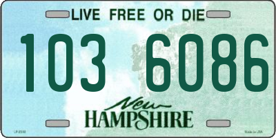 NH license plate 1036086