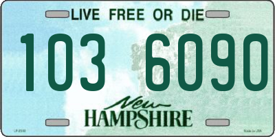 NH license plate 1036090