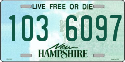 NH license plate 1036097
