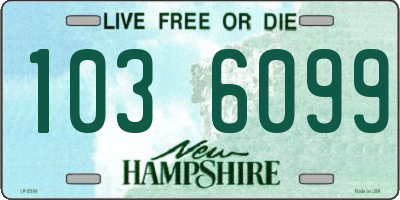 NH license plate 1036099