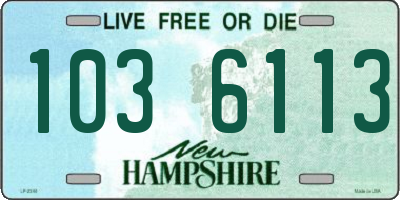 NH license plate 1036113