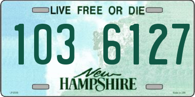 NH license plate 1036127