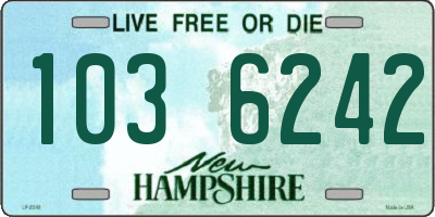 NH license plate 1036242