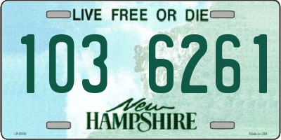 NH license plate 1036261