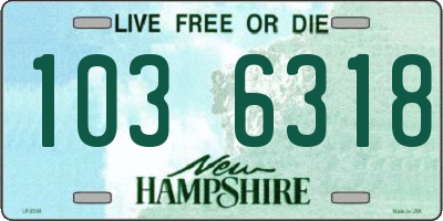 NH license plate 1036318