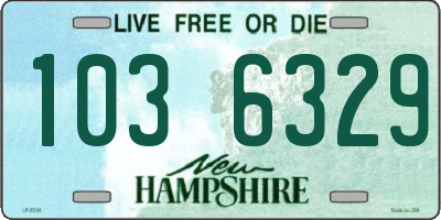 NH license plate 1036329