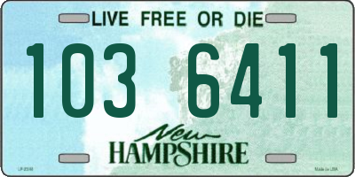 NH license plate 1036411