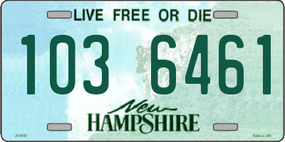 NH license plate 1036461