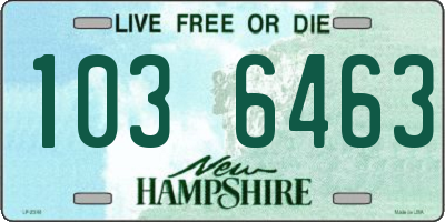 NH license plate 1036463