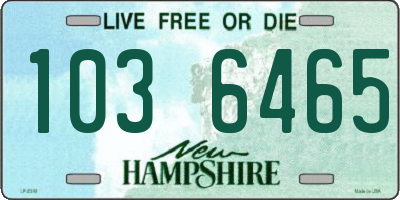 NH license plate 1036465