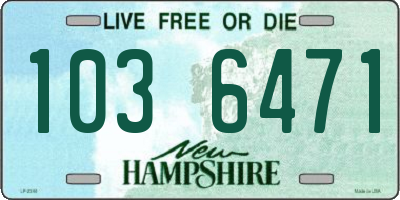 NH license plate 1036471