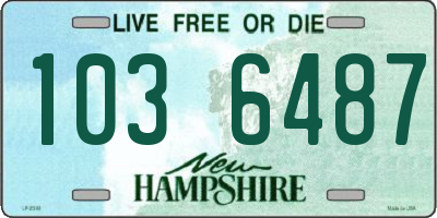 NH license plate 1036487