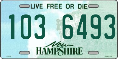 NH license plate 1036493
