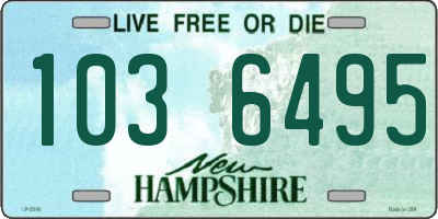 NH license plate 1036495