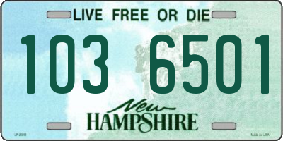 NH license plate 1036501