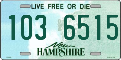 NH license plate 1036515