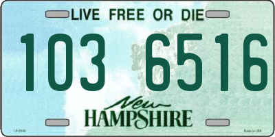 NH license plate 1036516