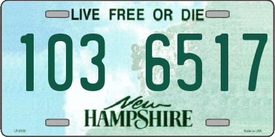 NH license plate 1036517
