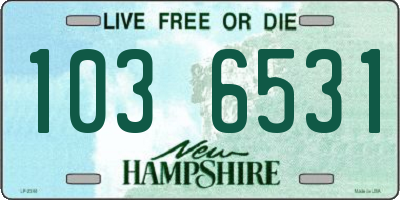NH license plate 1036531