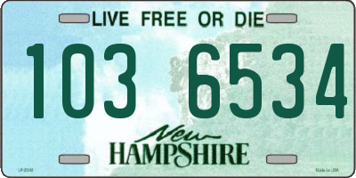 NH license plate 1036534