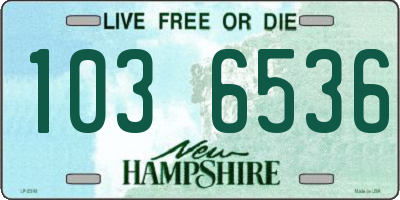 NH license plate 1036536