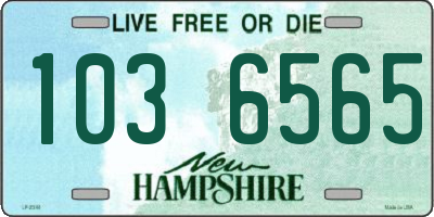 NH license plate 1036565