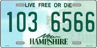 NH license plate 1036566