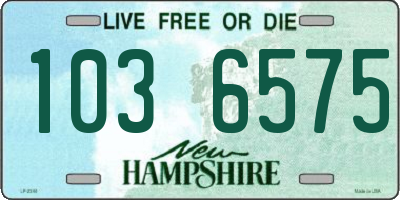NH license plate 1036575