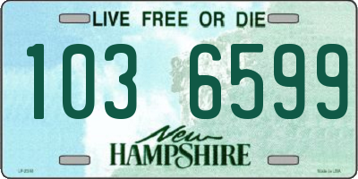 NH license plate 1036599