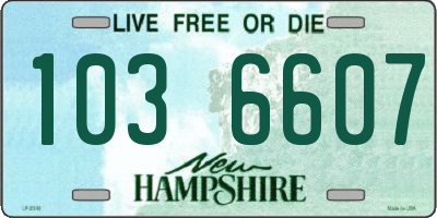 NH license plate 1036607