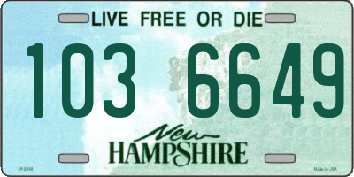 NH license plate 1036649
