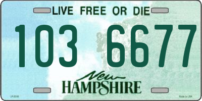 NH license plate 1036677